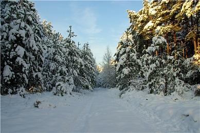 《罗布乐思》正在招聘PS工程师 或将登陆索尼主机